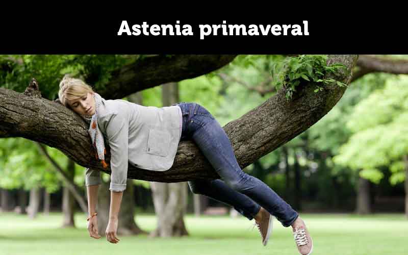 Astenia Primaveral Nectina 9395